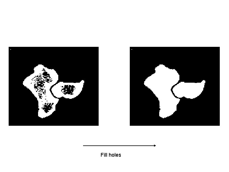 Fill holes 