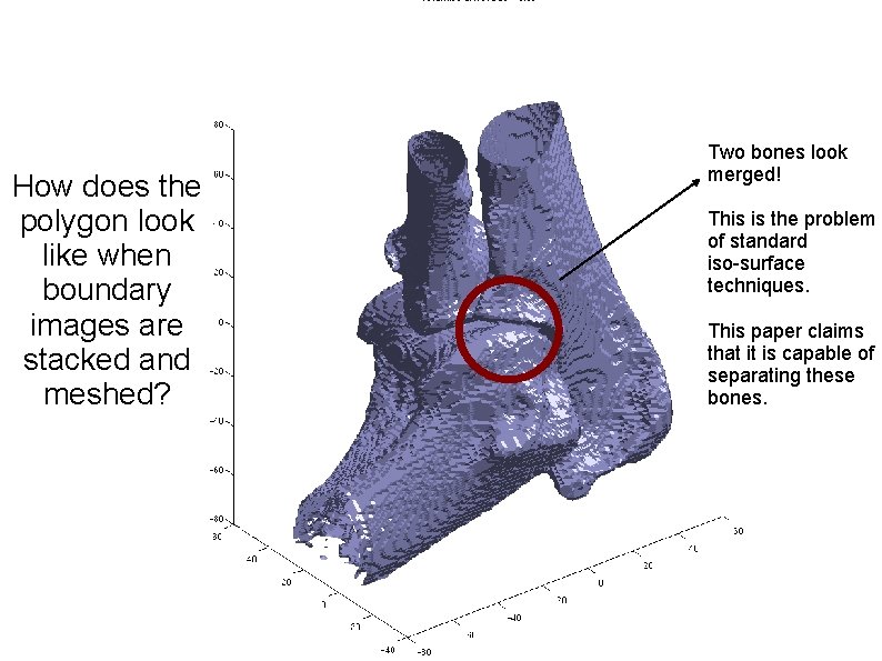 How does the polygon look like when boundary images are stacked and meshed? Two