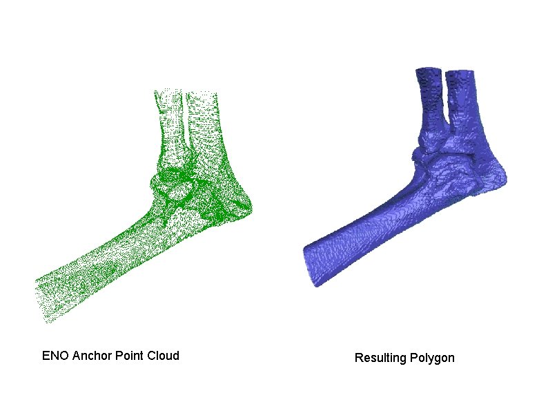 ENO Anchor Point Cloud Resulting Polygon 