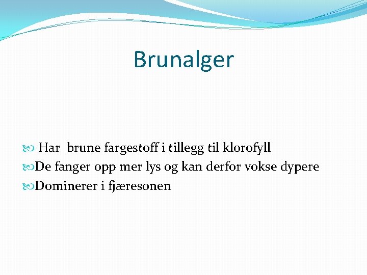 Brunalger Har brune fargestoff i tillegg til klorofyll De fanger opp mer lys og