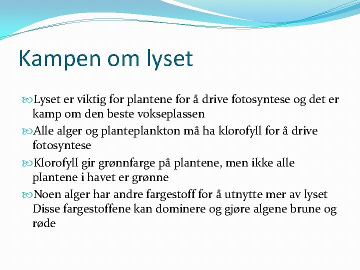 Kampen om lyset Lyset er viktig for plantene for å drive fotosyntese og det