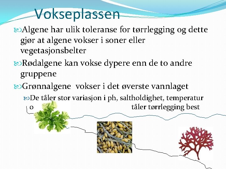 Vokseplassen Algene har ulik toleranse for tørrlegging og dette gjør at algene vokser i