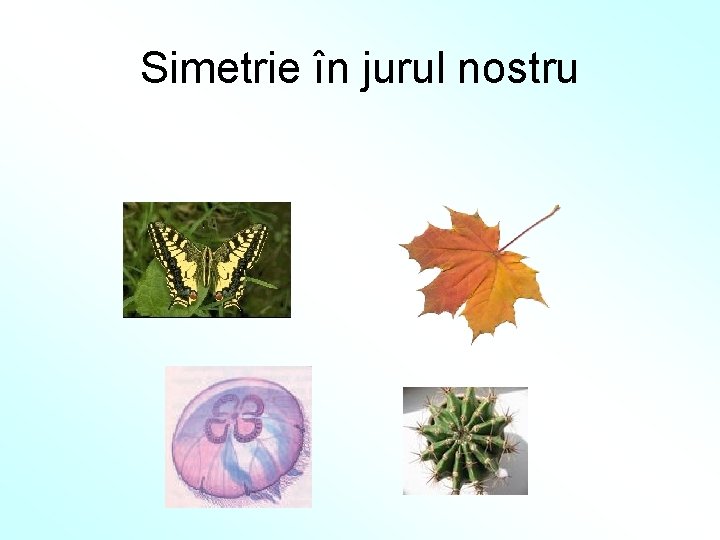 Simetrie în jurul nostru 