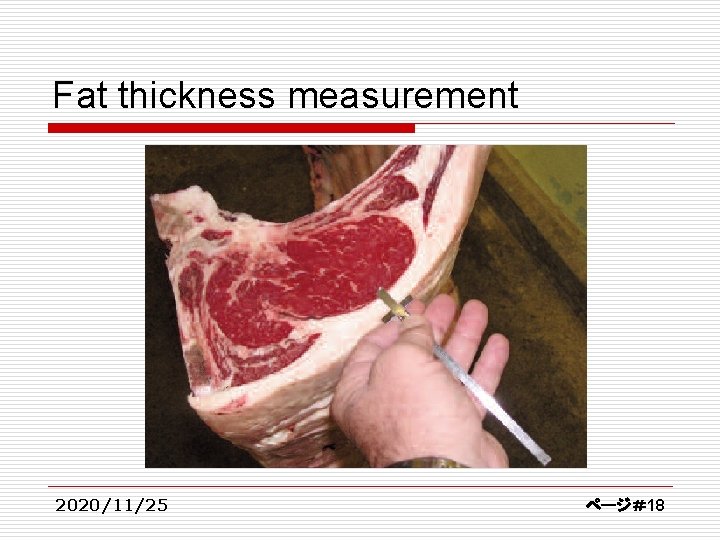 Fat thickness measurement 2020/11/25 ページ＃18 