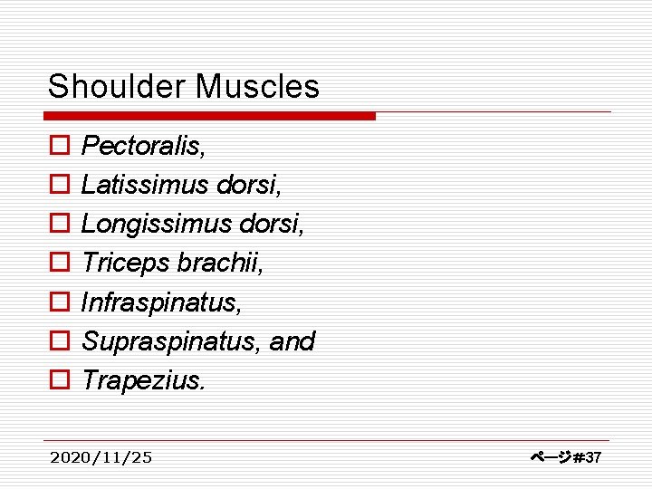 Shoulder Muscles o o o o Pectoralis, Latissimus dorsi, Longissimus dorsi, Triceps brachii, Infraspinatus,
