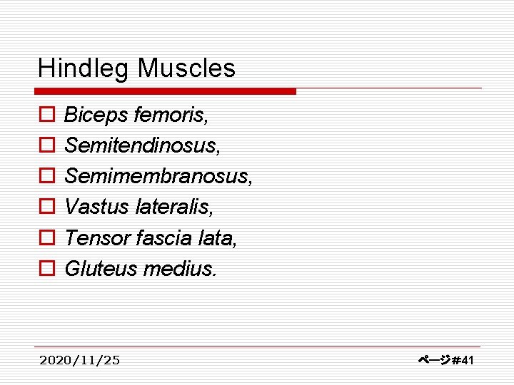 Hindleg Muscles o o o Biceps femoris, Semitendinosus, Semimembranosus, Vastus lateralis, Tensor fascia lata,