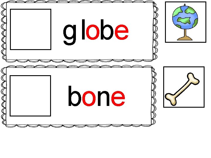 g lobe bone 