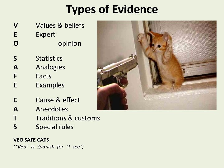 Types of Evidence V E O Values & beliefs Expert opinion S A F