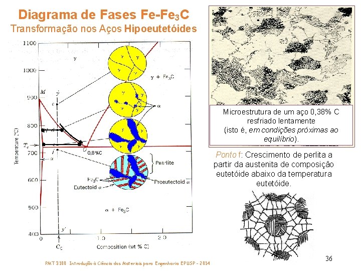Diagrama de Fases Fe-Fe 3 C Transformação nos Aços Hipoeutetóides Microestrutura de um aço