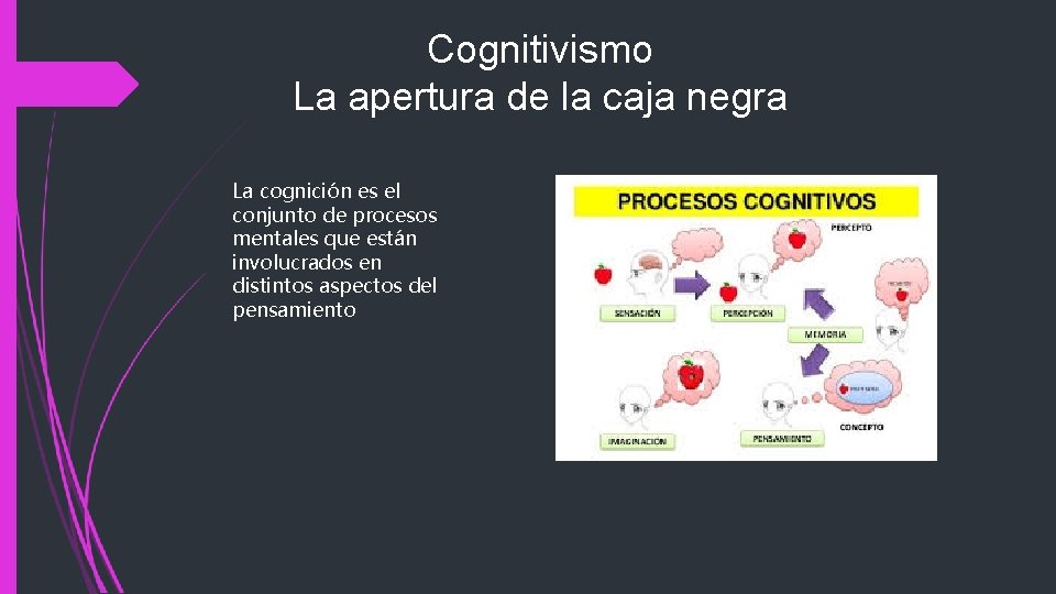 Cognitivismo La apertura de la caja negra La cognición es el conjunto de procesos