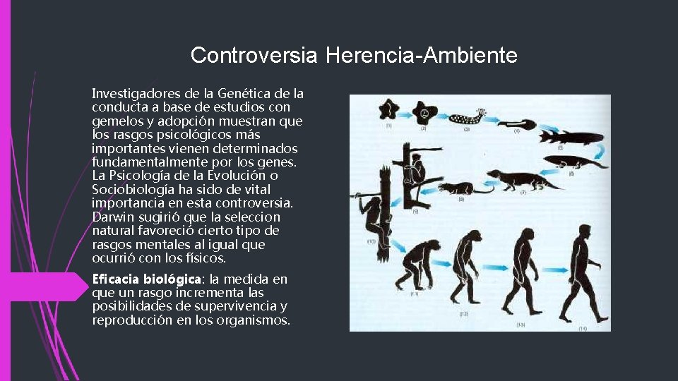 Controversia Herencia-Ambiente Investigadores de la Genética de la conducta a base de estudios con