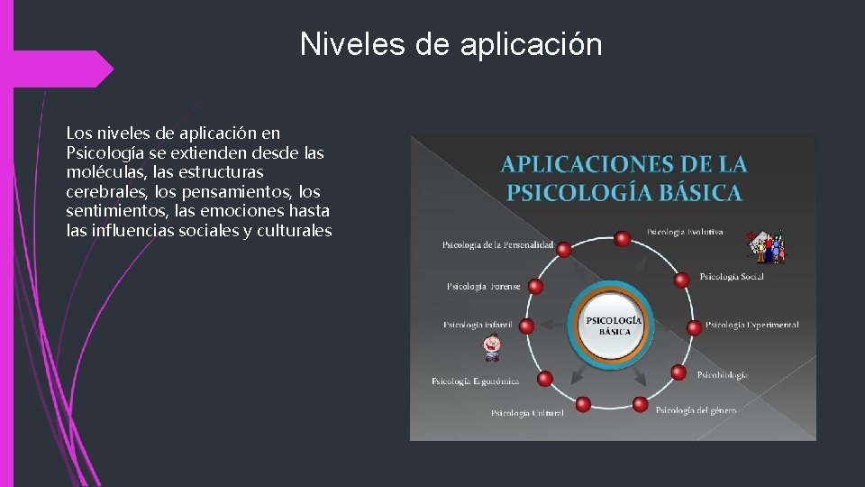 Niveles de aplicación Los niveles de aplicación en Psicología se extienden desde las moléculas,