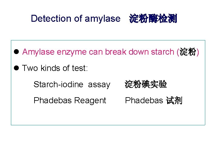 Detection of amylase 淀粉酶检测 l Amylase enzyme can break down starch (淀粉) l Two