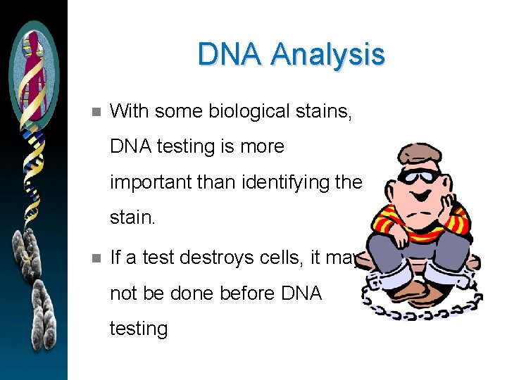 DNA Analysis n With some biological stains, DNA testing is more important than identifying