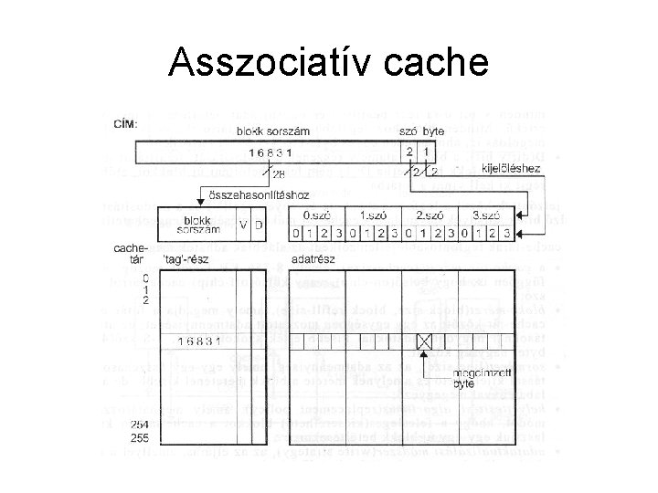 Asszociatív cache 