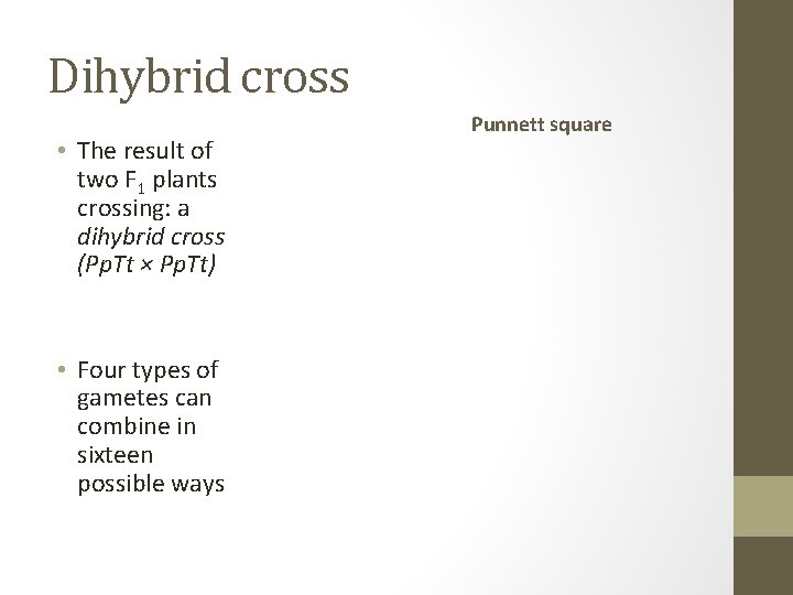 Dihybrid cross • The result of two F 1 plants crossing: a dihybrid cross