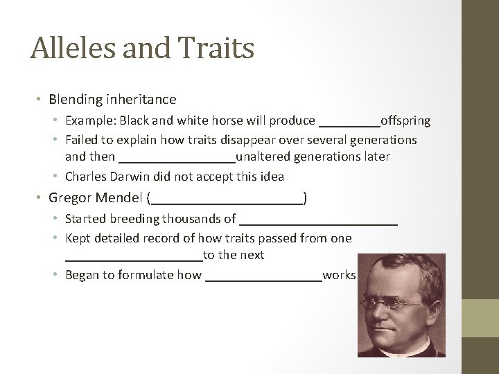 Alleles and Traits • Blending inheritance • Example: Black and white horse will produce