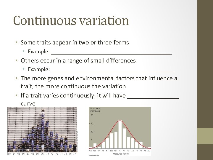 Continuous variation • Some traits appear in two or three forms • Example: _____________________