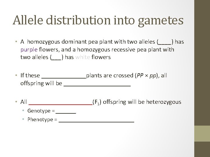Allele distribution into gametes • A homozygous dominant pea plant with two alleles (____)