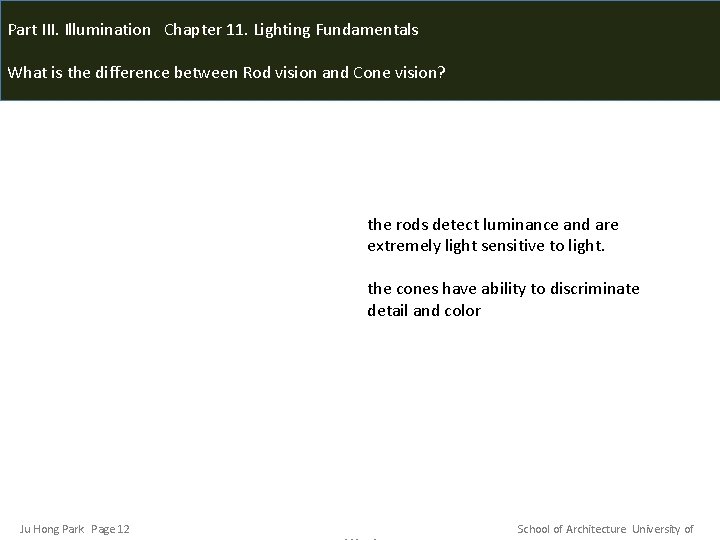 Part III. Illumination Chapter 11. Lighting Fundamentals What is the difference between Rod vision