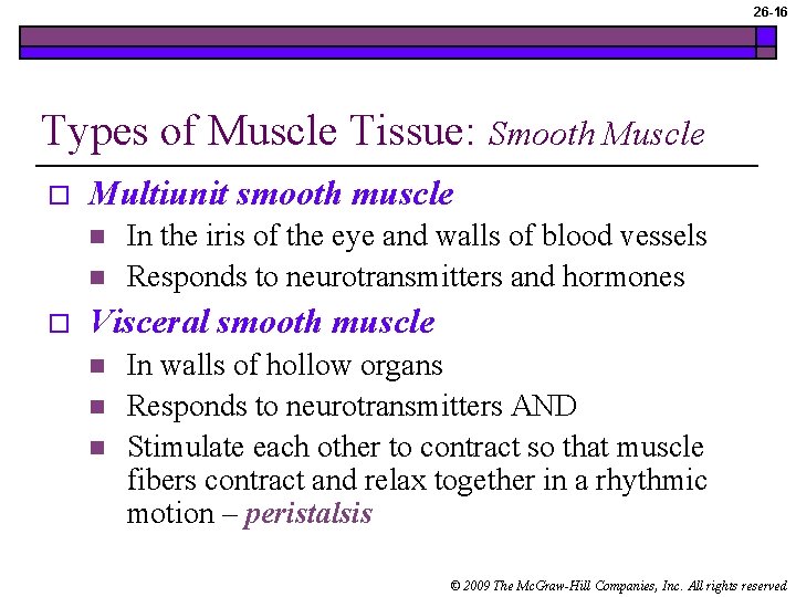 26 -16 Types of Muscle Tissue: Smooth Muscle o Multiunit smooth muscle n n