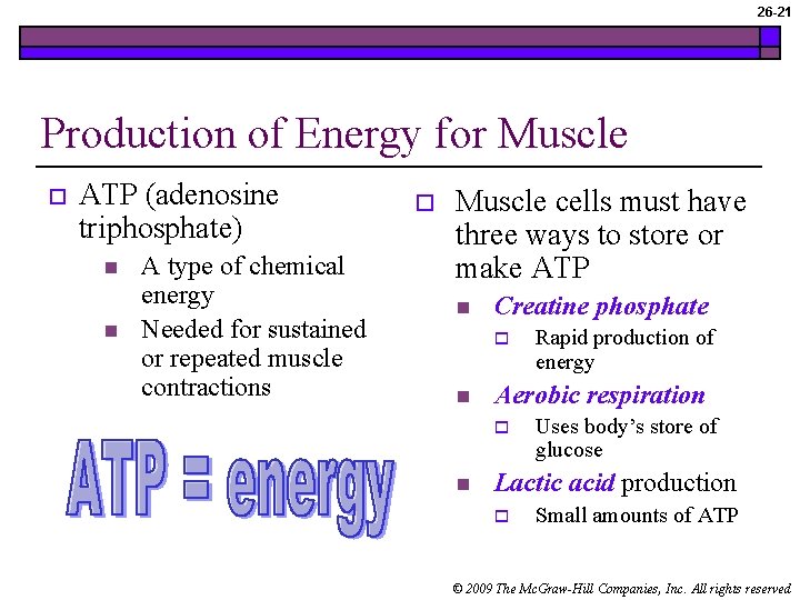 26 -21 Production of Energy for Muscle o ATP (adenosine triphosphate) n n A