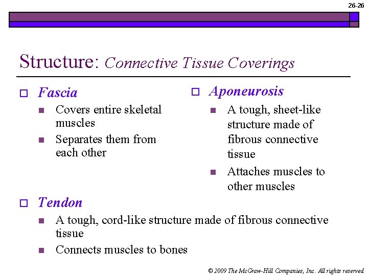 26 -26 Structure: Connective Tissue Coverings o Fascia n n Covers entire skeletal muscles