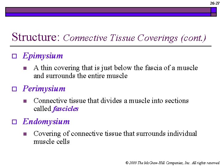 26 -27 Structure: Connective Tissue Coverings (cont. ) o Epimysium n o Perimysium n