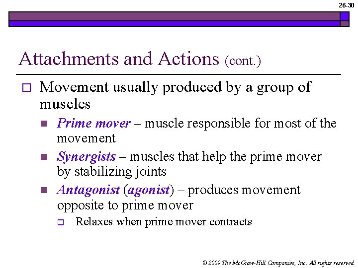 26 -30 Attachments and Actions (cont. ) o Movement usually produced by a group