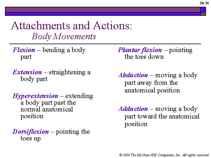 26 -31 Attachments and Actions: Body Movements Flexion – bending a body part Plantar