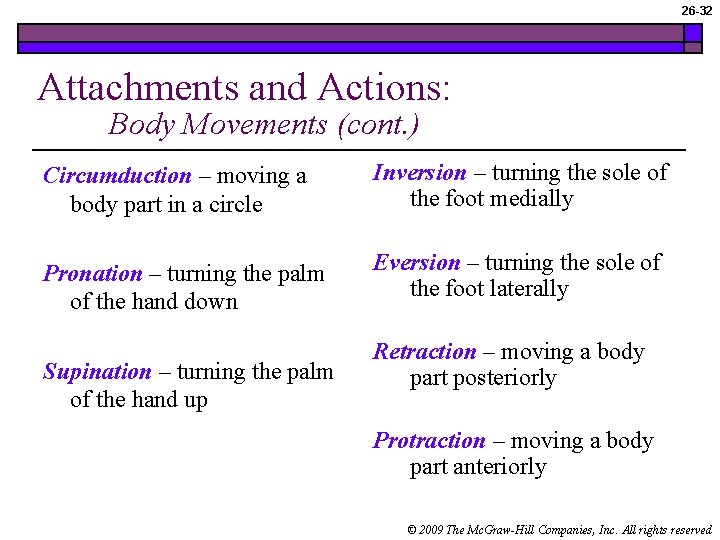 26 -32 Attachments and Actions: Body Movements (cont. ) Circumduction – moving a body