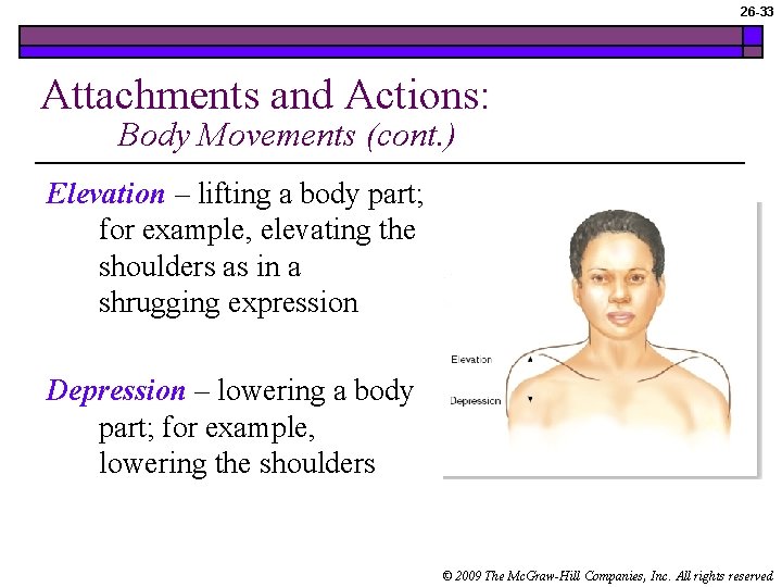 26 -33 Attachments and Actions: Body Movements (cont. ) Elevation – lifting a body