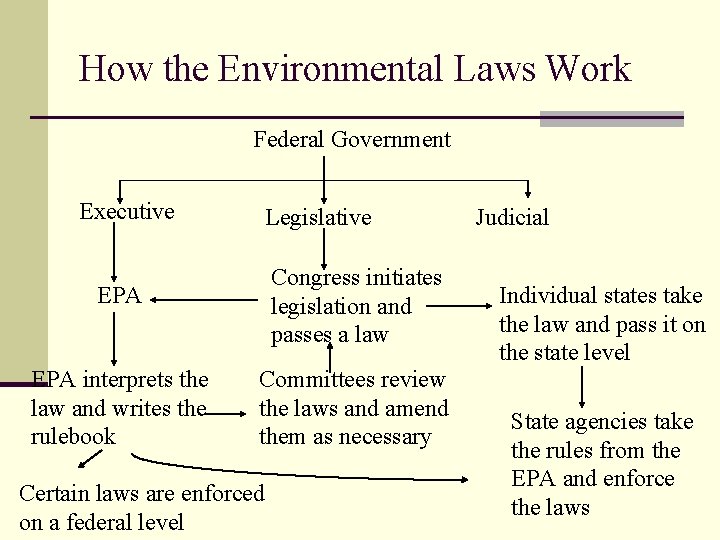 How the Environmental Laws Work Federal Government Executive Legislative EPA Congress initiates legislation and