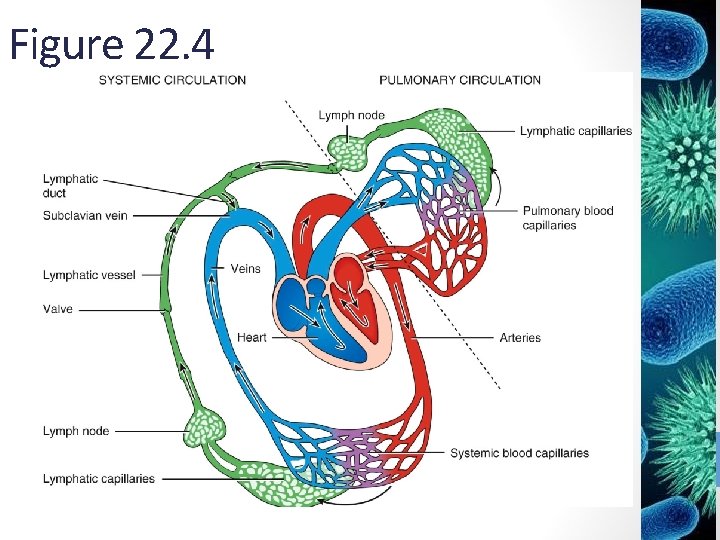 Figure 22. 4 