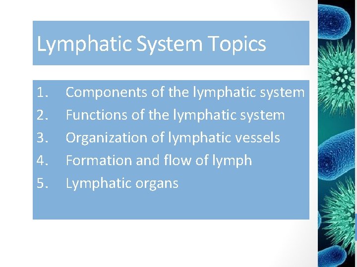 Lymphatic System Topics 1. 2. 3. 4. 5. Components of the lymphatic system Functions