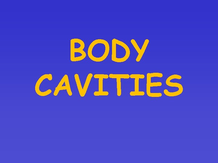 BODY CAVITIES 