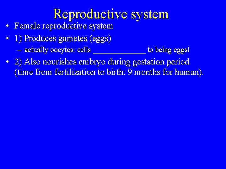 Reproductive system • Female reproductive system • 1) Produces gametes (eggs) – actually oocytes:
