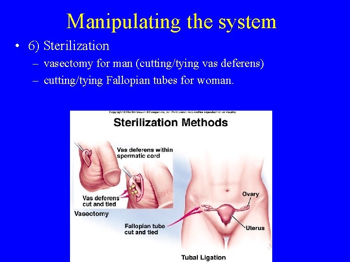 Manipulating the system • 6) Sterilization – vasectomy for man (cutting/tying vas deferens) –