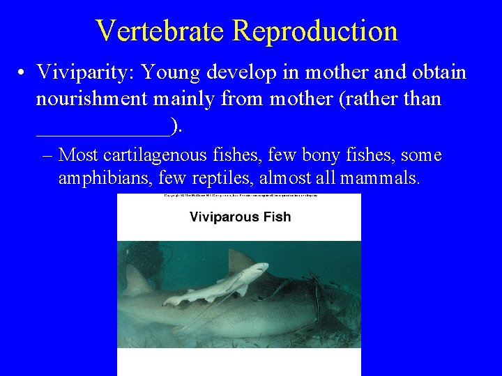 Vertebrate Reproduction • Viviparity: Young develop in mother and obtain nourishment mainly from mother