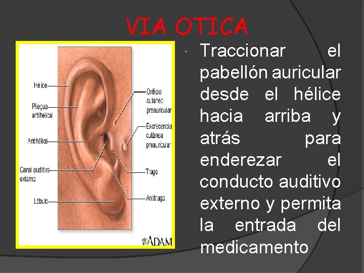 VIA OTICA Traccionar el pabellón auricular desde el hélice hacia arriba y atrás para