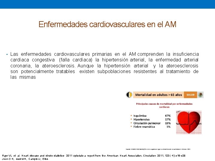 Enfermedades cardiovasculares en el AM • Las enfermedades cardiovasculares primarias en el AM comprenden