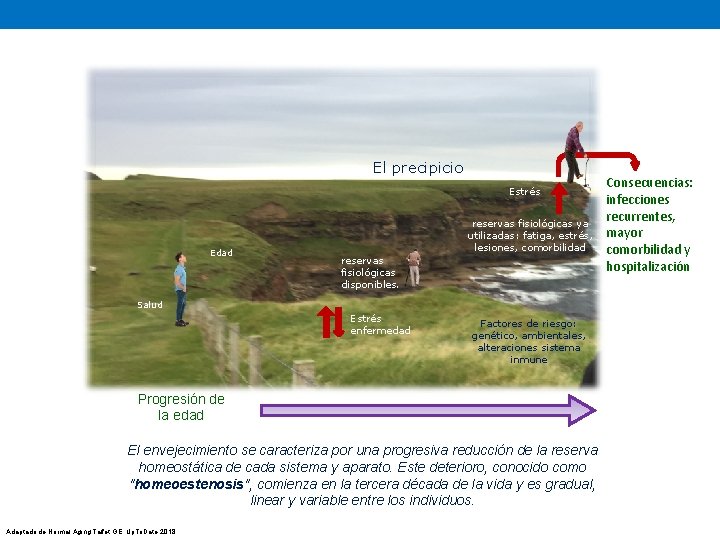 El precipicio Estrés Edad reservas fisiológicas ya utilizadas: fatiga, estrés, lesiones, comorbilidad reservas fisiológicas