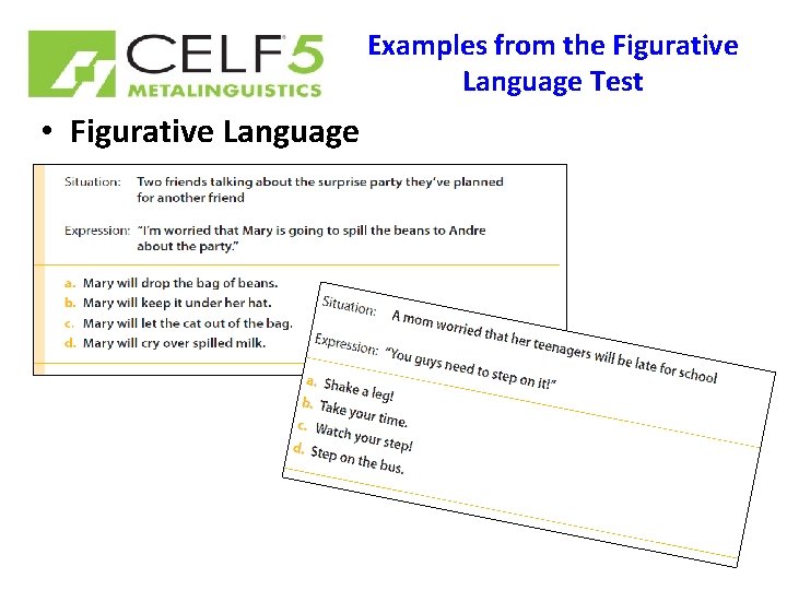 Examples from the Figurative Language Test • Figurative Language 