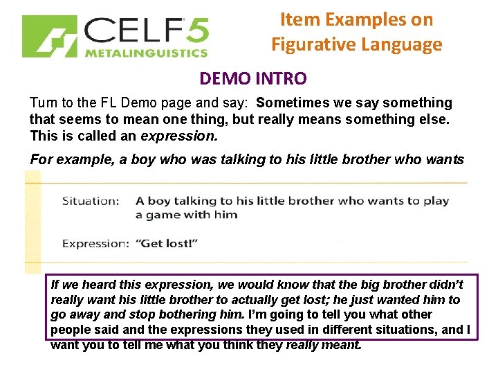Item Examples on Figurative Language DEMO INTRO Turn to the FL Demo page and