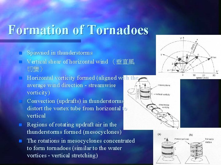 Formation of Tornadoes n n n Spawned in thunderstorms Vertical shear of horizontal wind