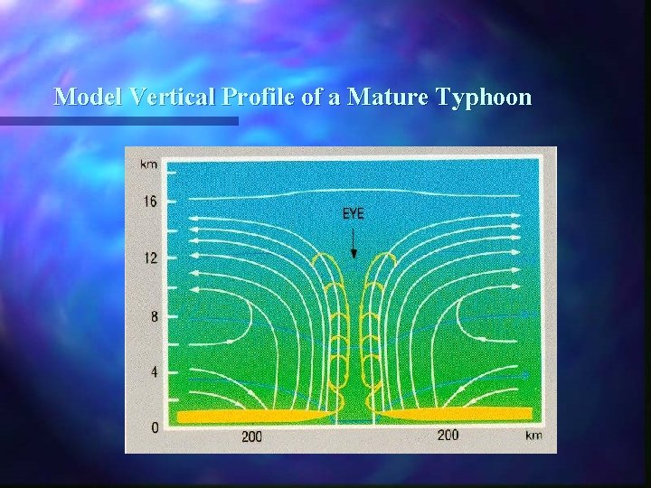 Model Vertical Profile of a Mature Typhoon 