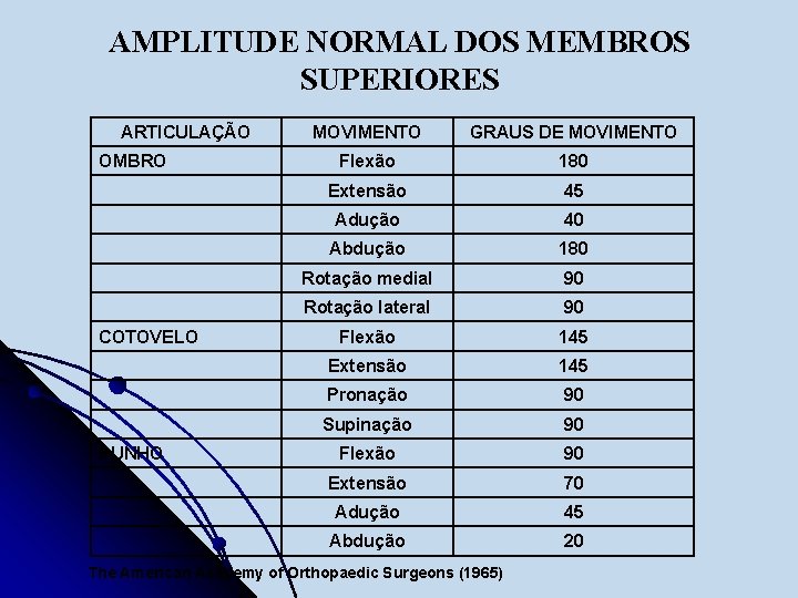 AMPLITUDE NORMAL DOS MEMBROS SUPERIORES ARTICULAÇÃO OMBRO COTOVELO PUNHO MOVIMENTO GRAUS DE MOVIMENTO Flexão