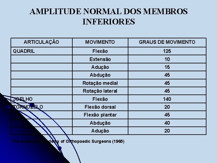 AMPLITUDE NORMAL DOS MEMBROS INFERIORES ARTICULAÇÃO QUADRIL JOELHO TORNOZELO MOVIMENTO GRAUS DE MOVIMENTO Flexão