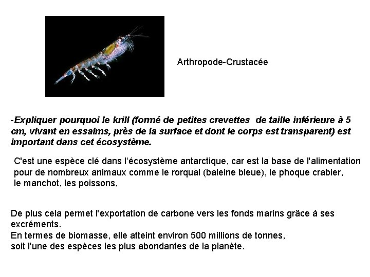 Arthropode-Crustacée -Expliquer pourquoi le krill (formé de petites crevettes de taille inférieure à 5