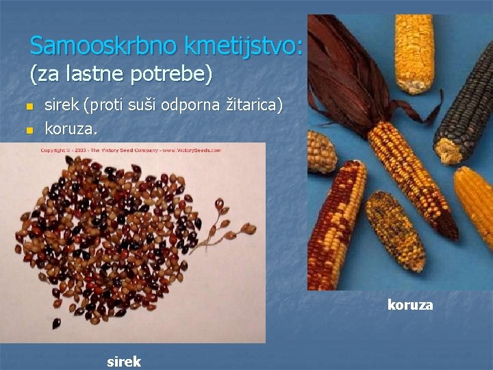 Samooskrbno kmetijstvo: (za lastne potrebe) n n sirek (proti suši odporna žitarica) koruza sirek Samooskrbno kmetijstvo: (za lastne potrebe) n n sirek (proti suši odporna žitarica) koruza sirek